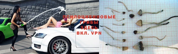 прущий лед Нефтегорск